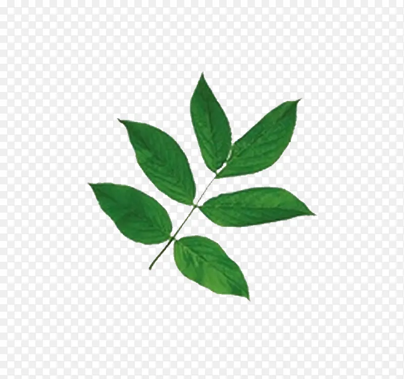 摄影无忌网