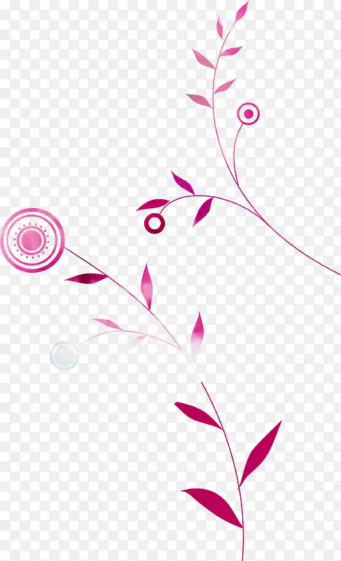 粉色花纹花卉图片