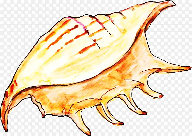 创意贝壳海螺
