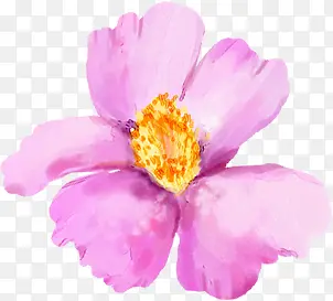 粉色花卉水印图片