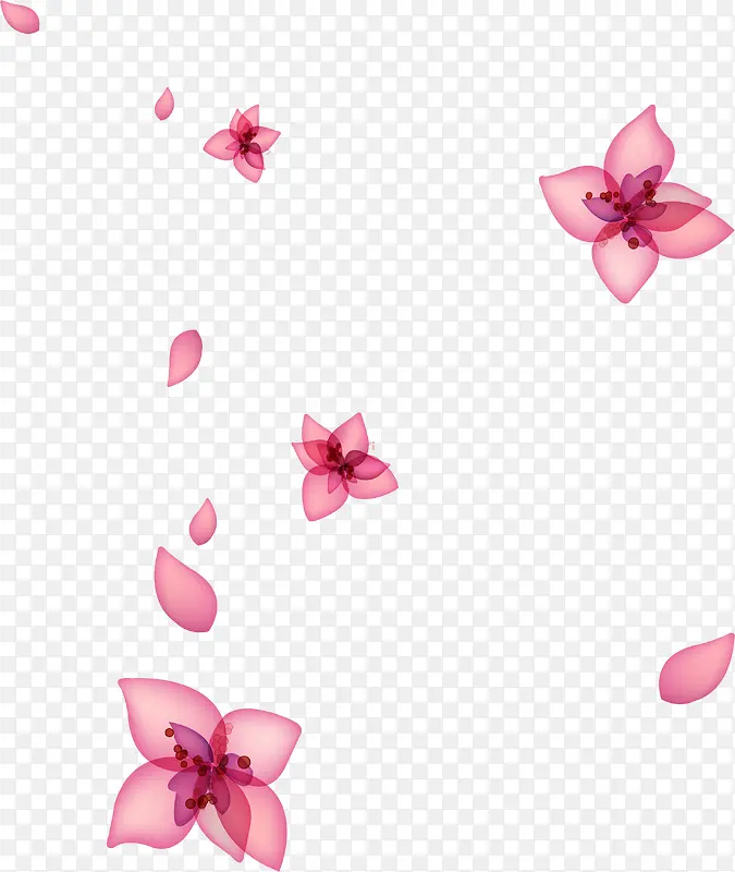 粉色花卉韩式展架
