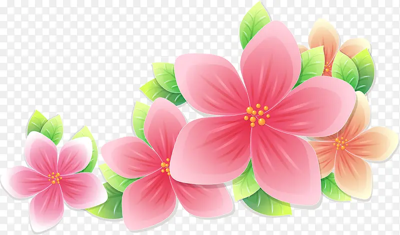粉色的卡通花卉夏天