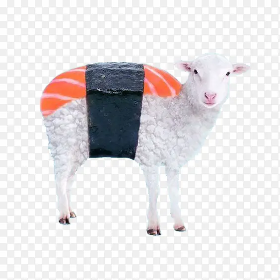 寿司小羊