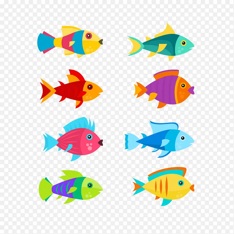 彩色鱼类矢量图