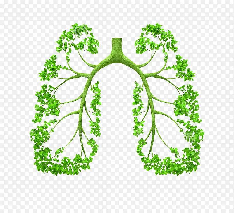 肺 环保素材
