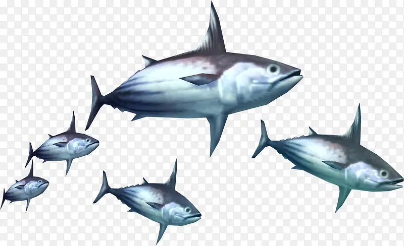 一群鲨鱼