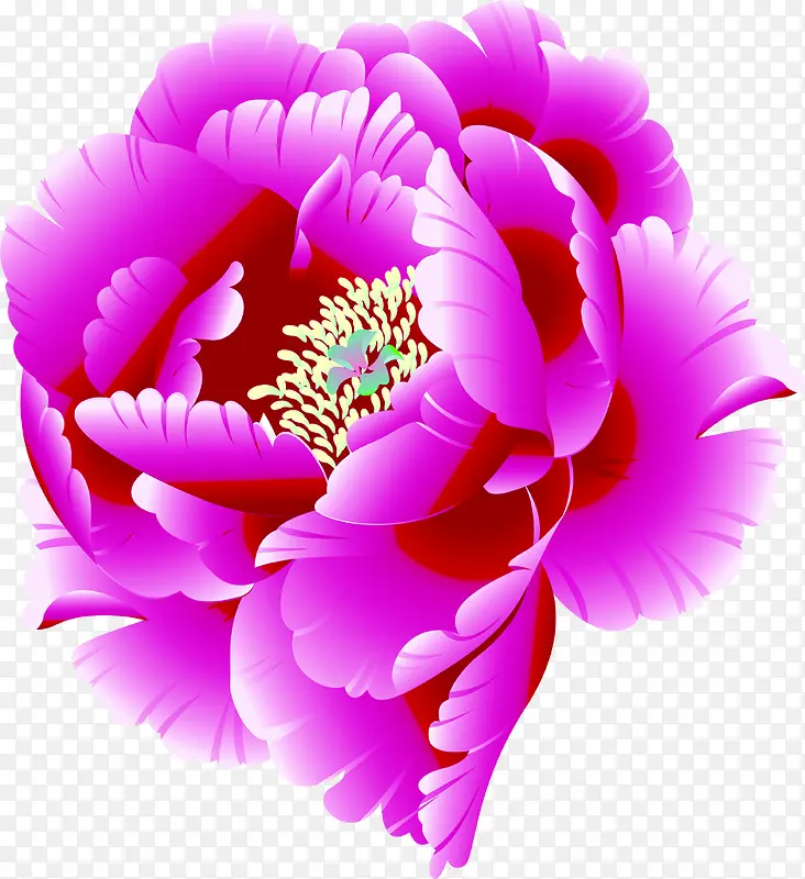 合成创意效果紫色的海棠花
