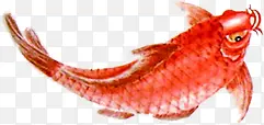 红色水墨画鲤鱼