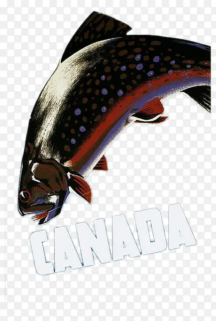加拿大鱼