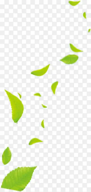 绿色创意漂浮树叶