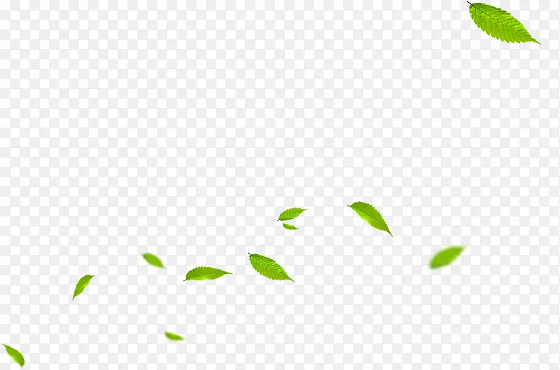 绿色树叶漂浮设计