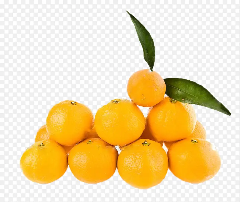 诱人柑橘