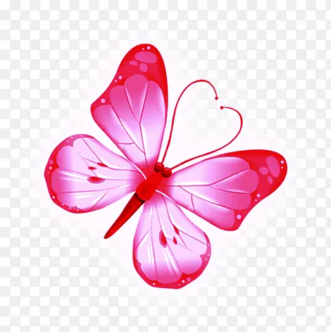 粉色蝴蝶图案