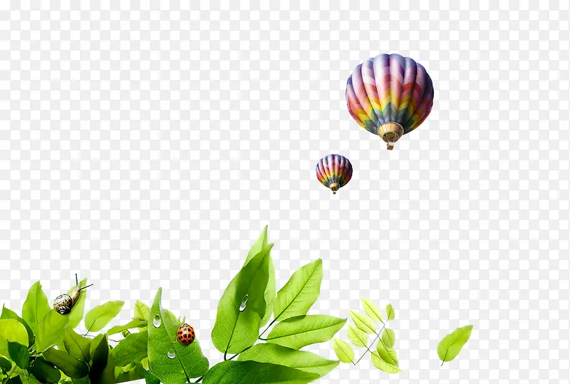 气球树叶漂浮