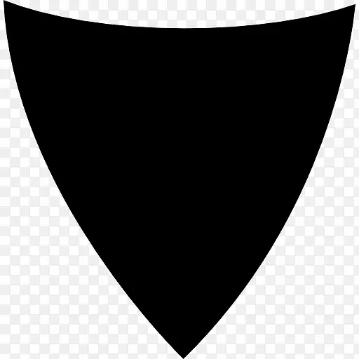 三角形的盾图标