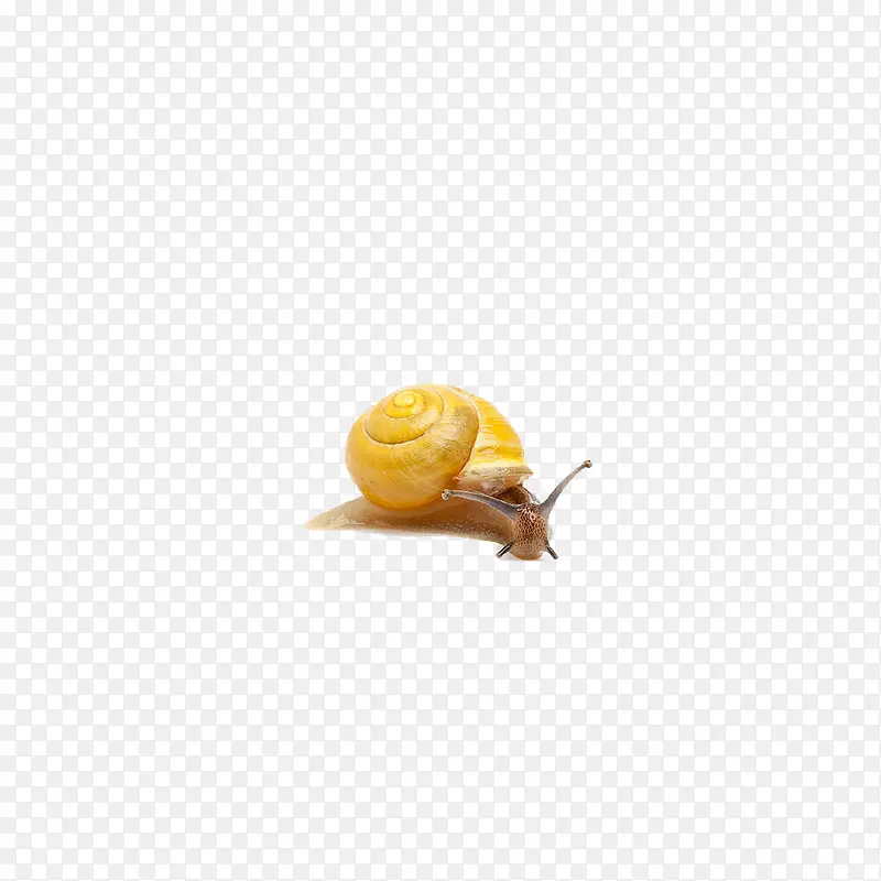 蜗牛黄色蜗牛图标
