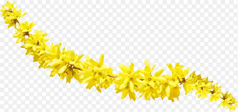 春季黄色碎花装饰