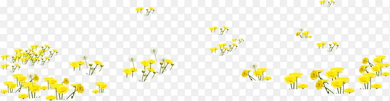 黄色清新春季小花