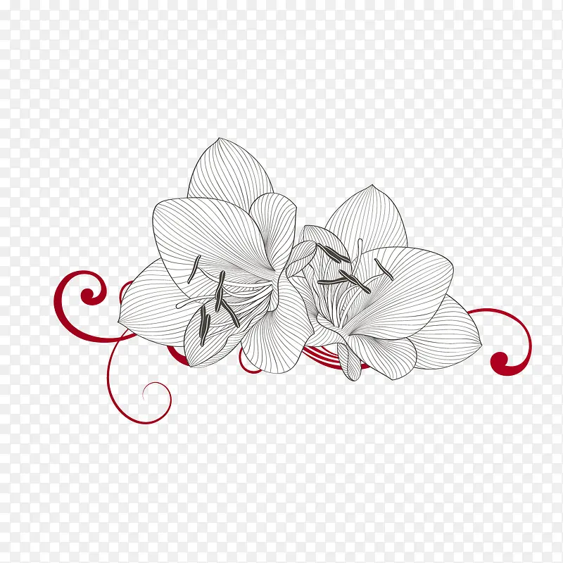 喇叭花