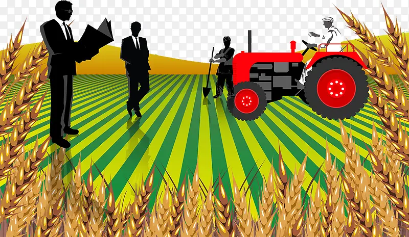 农地麦子收割插图