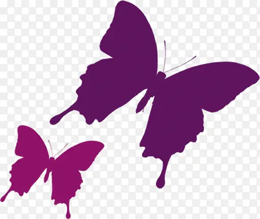 翩翩起舞的紫色蝴蝶