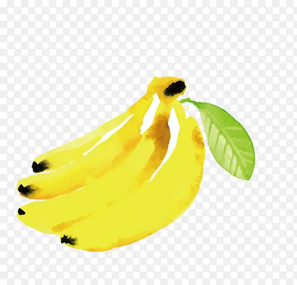 水彩矢量香蕉