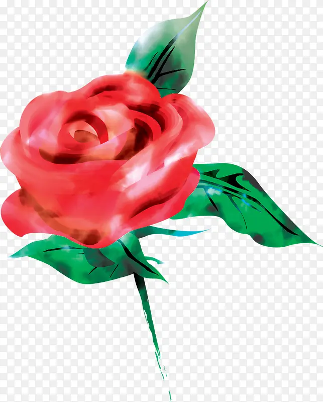 水彩画蔷薇花素材