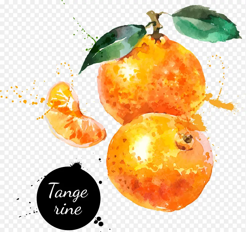 手绘水彩橘子