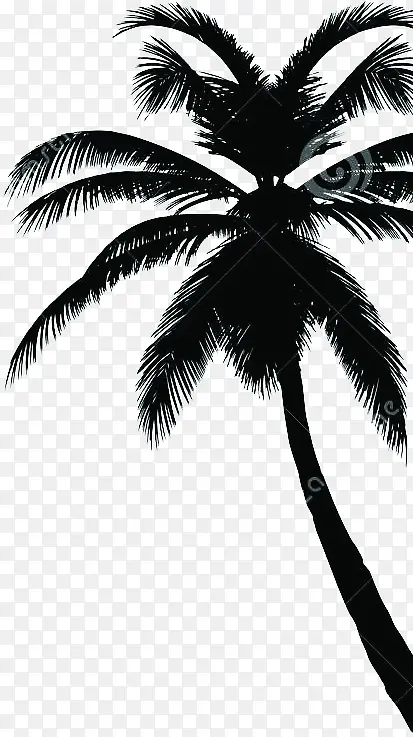 夏日海报椰子树手绘