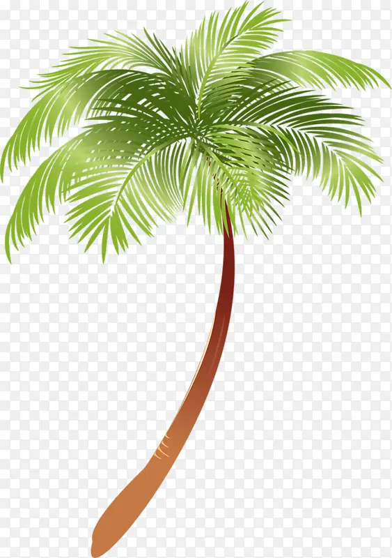 手绘椰子树