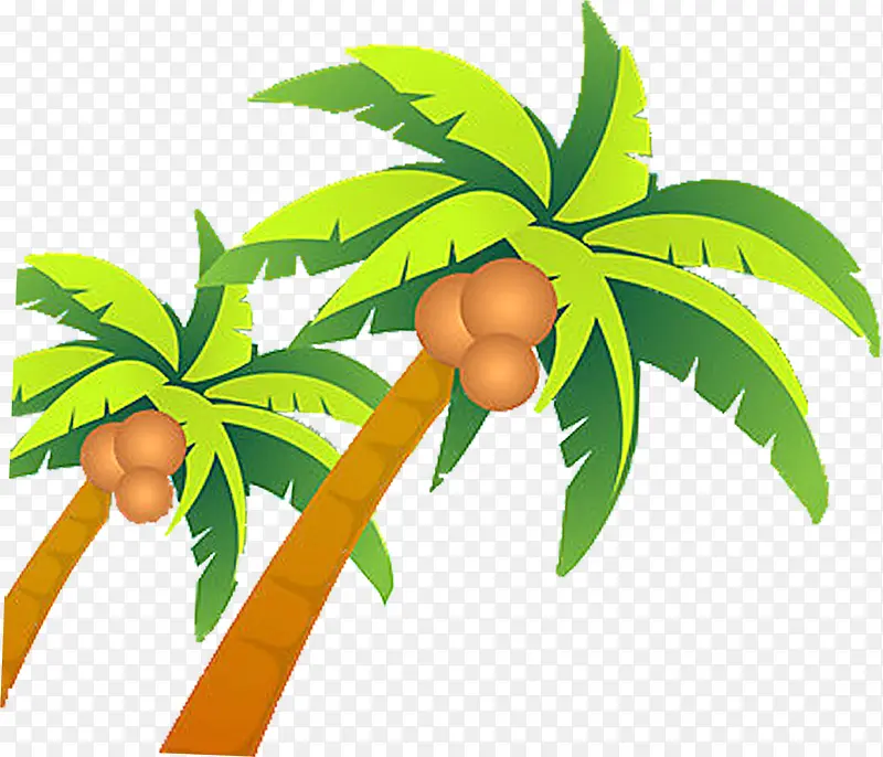 手绘海报植物椰子树