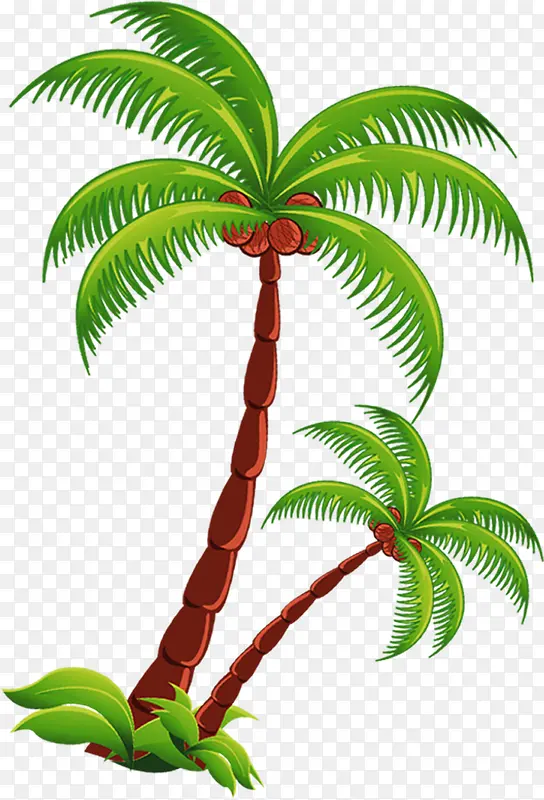 卡通夏日植物椰子树
