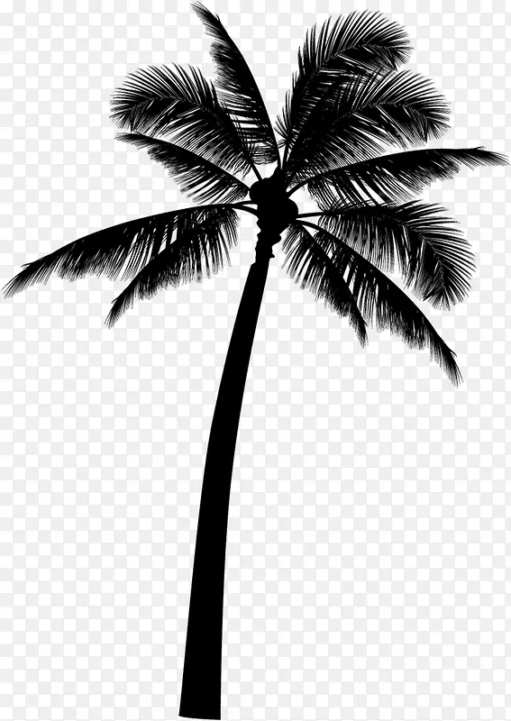 黑色剪影椰子树