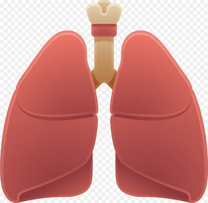 肺png元素