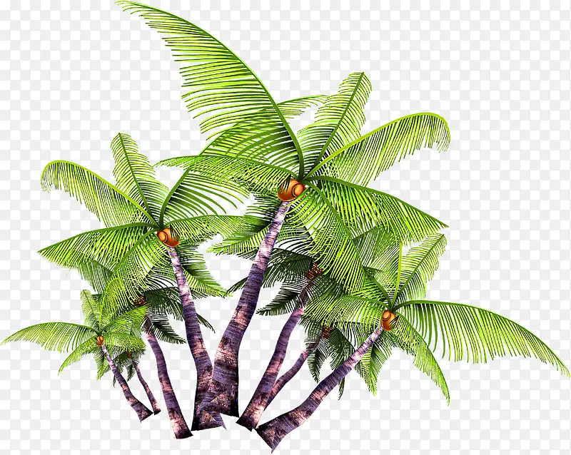 聚集椰子树立体图