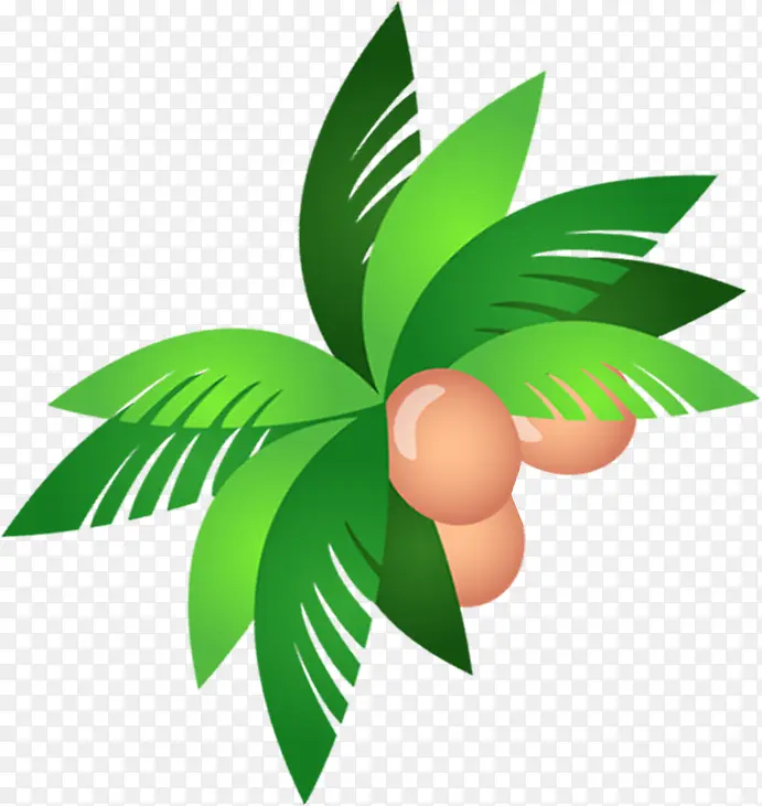椰子椰子树素材
