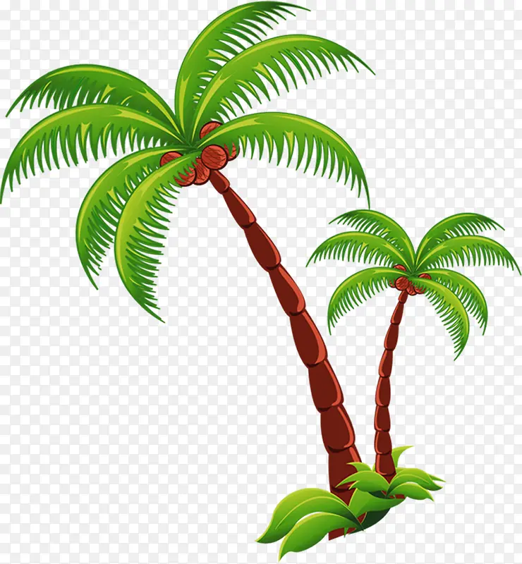 右倾棕色椰子树