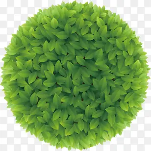 绿色树叶装饰圆形