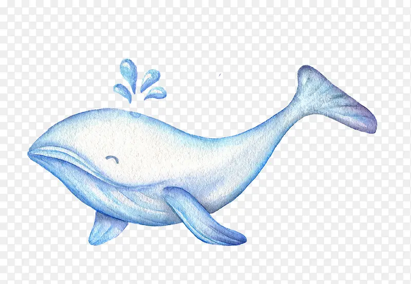 蓝色晶莹可爱小海豚