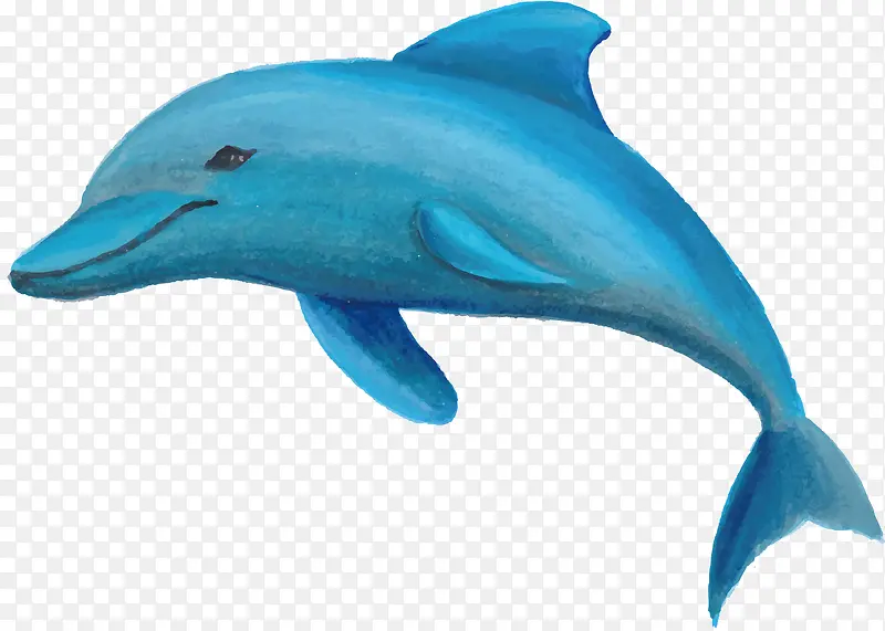蓝色手绘海豚