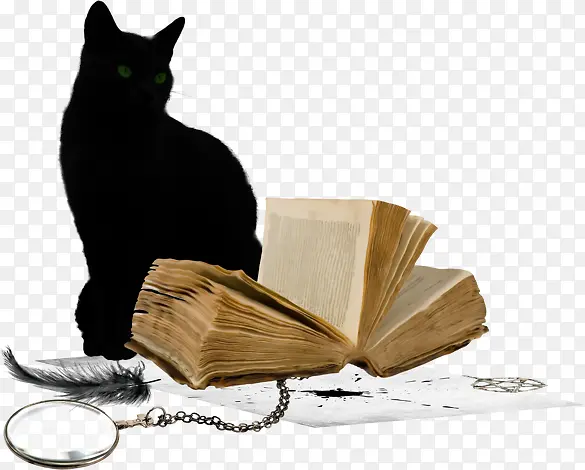 万圣节黑猫复古书本