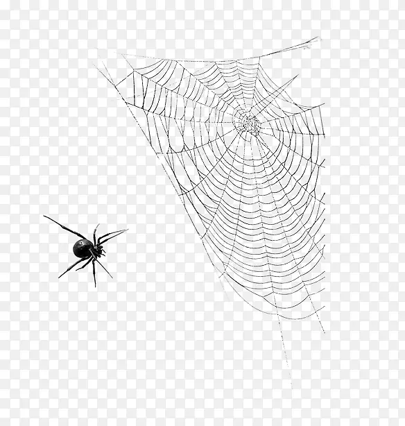 万圣节蜘蛛与蜘蛛网