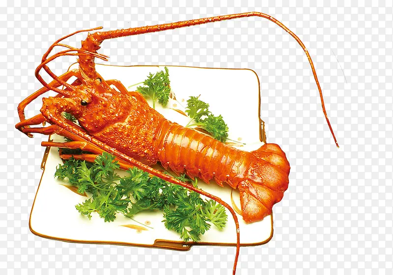 龙虾食物