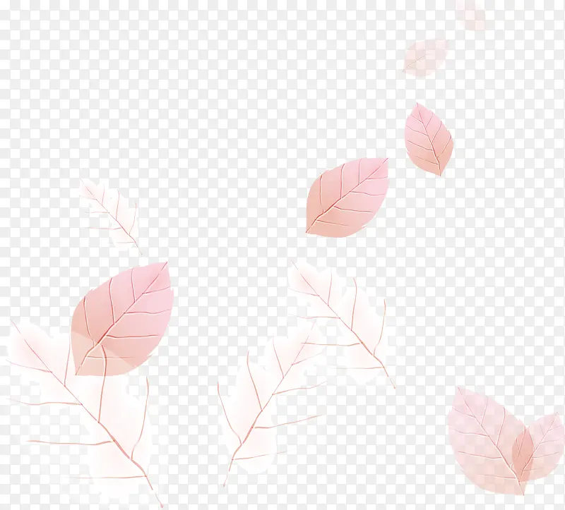 树木树叶