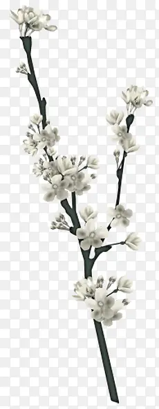 装饰手绘花卉素材PNG图片素材下载_图片编号qdxdoxem-免抠素材网