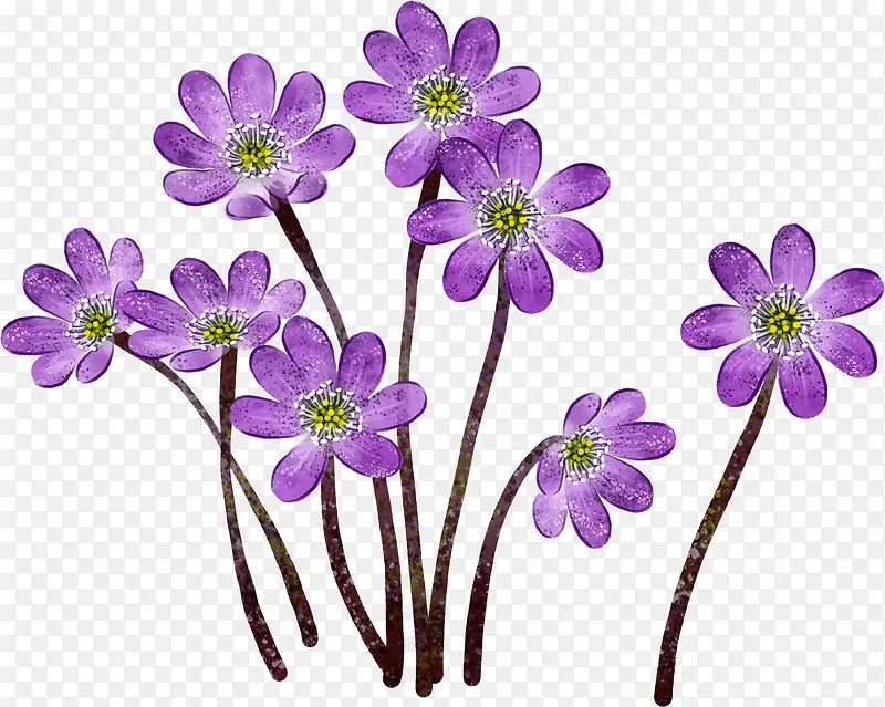 唯美紫色手绘小花