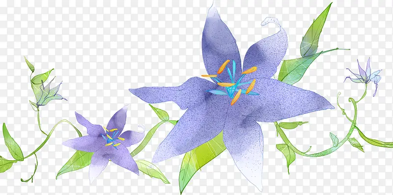 紫色梦幻小花插图