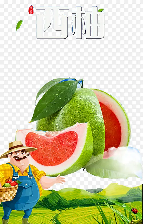 西柚海报