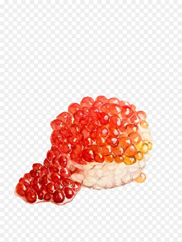 手绘石榴