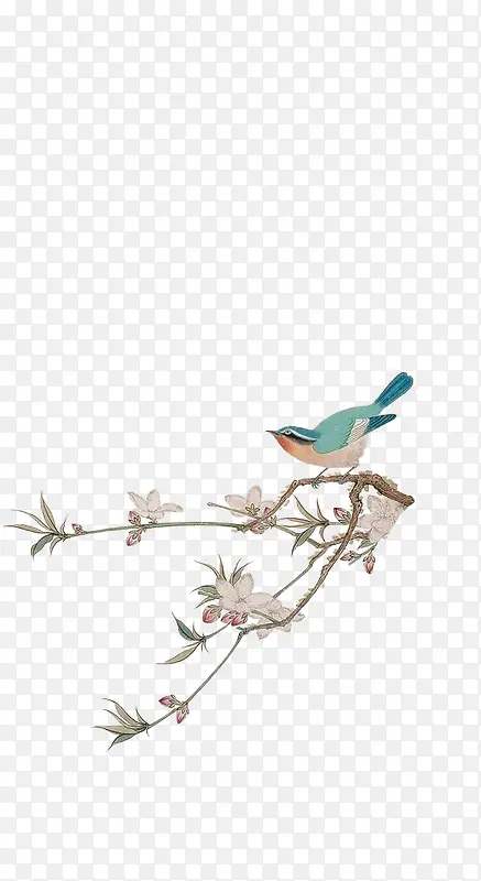 蓝色小鸟树枝上的小鸟